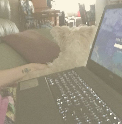 My dream setup, just me and my puppy working away.