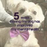 5 ways having my dog has improved my mental health