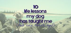 10 life lessons my dog has taught me