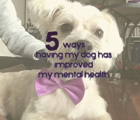 5 ways having my dog has improved my mental health